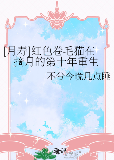 红色皮毛的猫