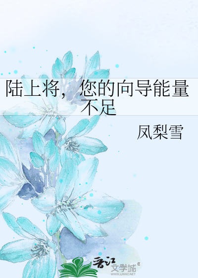 陆上将，您的向导能量不足